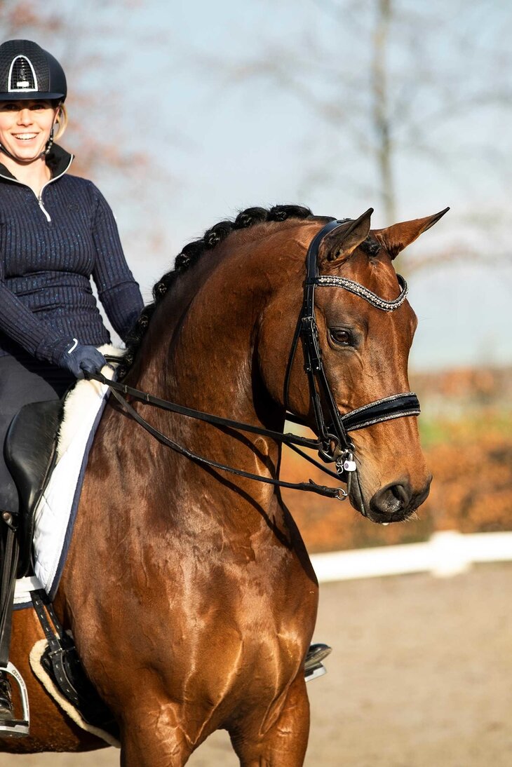 Swarovski bridle gold Browband rose gold