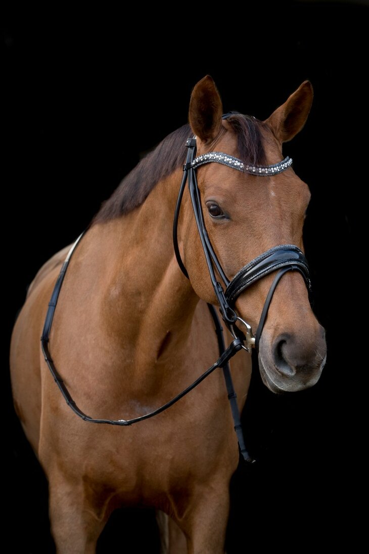 JUDI bridle Rocks metallic silver