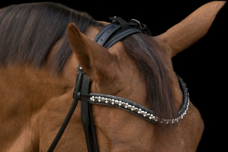 JUDI bridle Rocks metallic silver