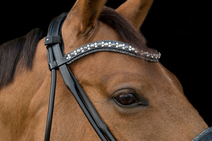 JUDI bridle Rocks metallic silver