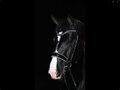 JUDI bridle Swarovski Rocks blue Royal Allure Traverso clear AB Classic montana blue
