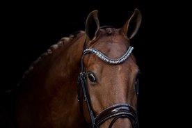 Bridle Rocks gold & browband Onyx vintage rose AB