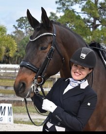 Bridle Rocks black and browband Onyx black crystal